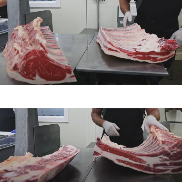 मांस प्रक्रिया उद्योगासाठी हेवी ड्युटी बोन सॉ मशीन (8)