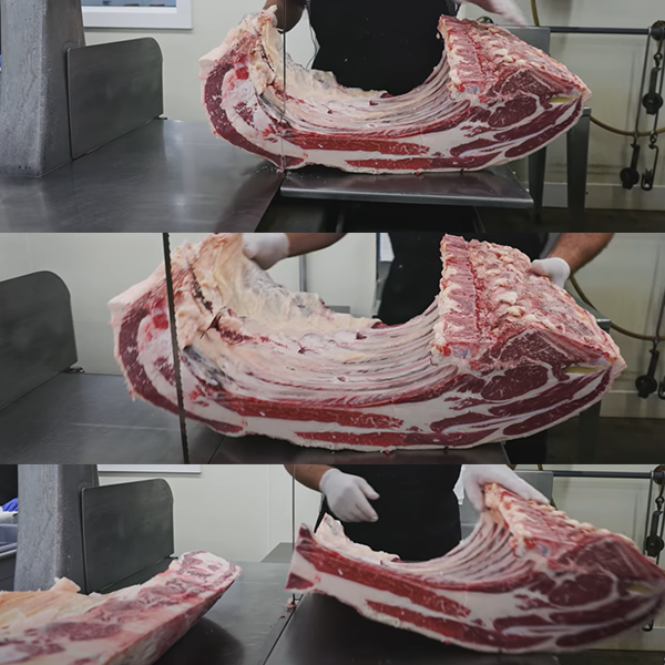 Sierra para huesos de alta resistencia para cortar ovejas enteras (6)