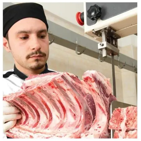 2HP Commercial Frozen Meat Bone Slicer  (8)